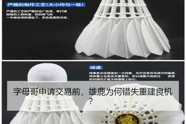 字母哥申请交易前，雄鹿为何错失重建良机？