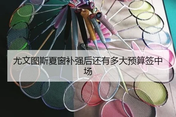 尤文图斯夏窗补强后还有多大预算签中场